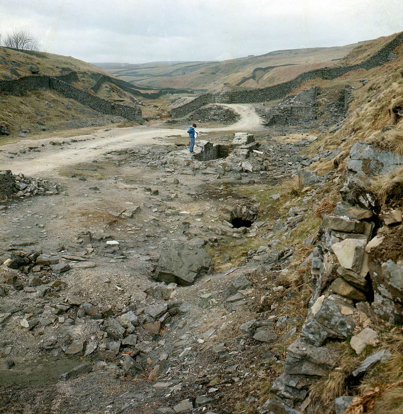 Hebden Gill 1972